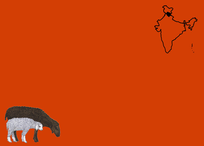 Map of India highlighting Himachal Padesh and two sheep in the corner