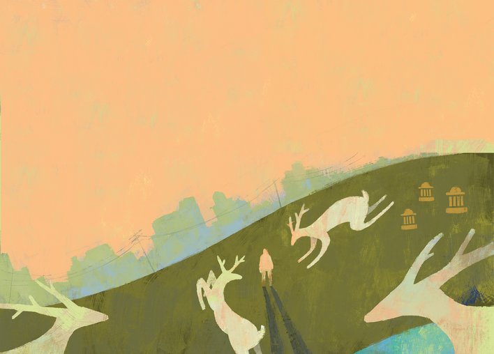 man with deers in an a field