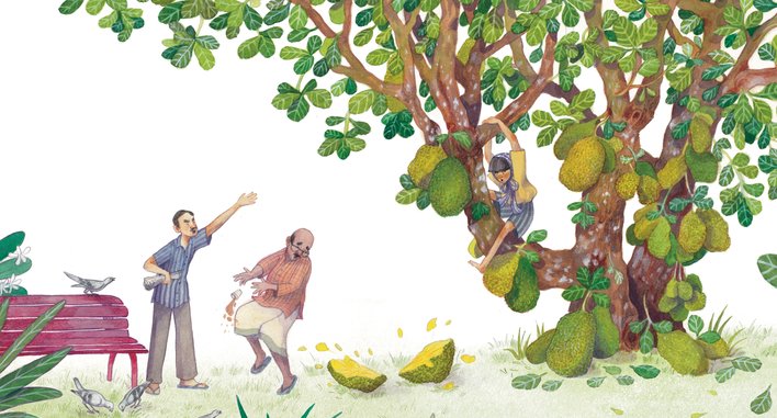 A girl climbing a jackfruit tree