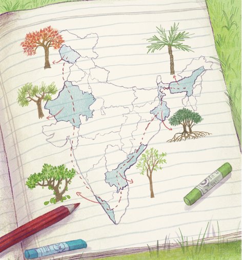 A map of India with all the trees and states marked
