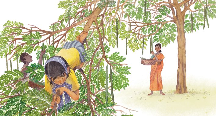 A girl hanging by a branch of a moringa tree