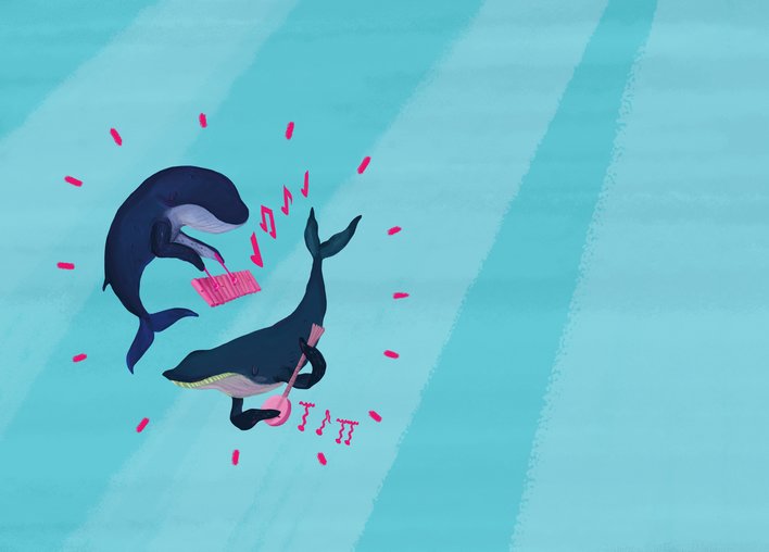 Whales with Banjo and Xylophone