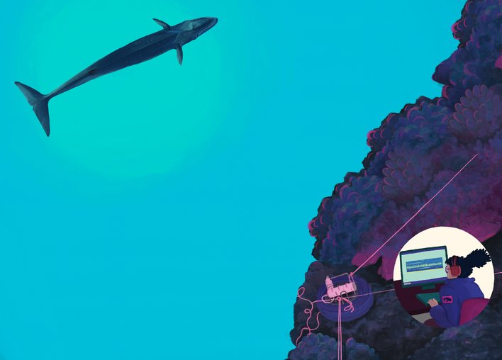 Scientists using instruments to hear whales