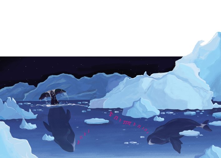 Bowhead whales in the arctic