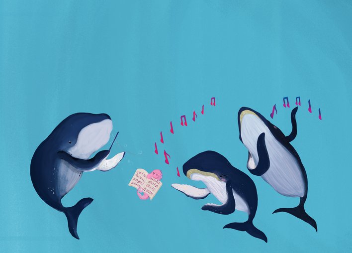 Whales Orchestra
