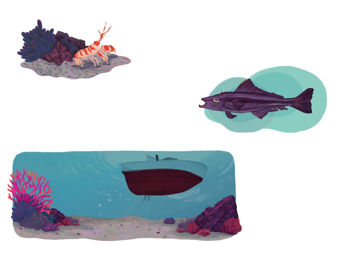 Snapping shrimp, lemon fish and a boat