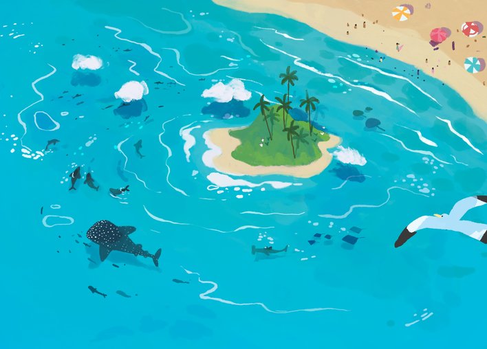 Whale shark and other aquatic animals swimming around an island near a beach