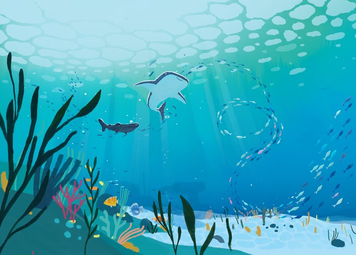 Whale shark and Greenland shark swimming among many other fish