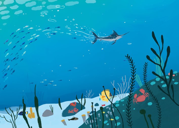 A swordfish swimming among many other fish