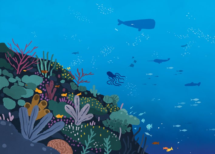 Underwater landscape of reefs and aquatic plants and animals