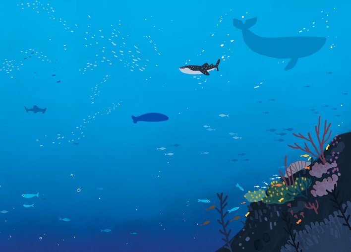 A whale shark swimming among other aquatic animals