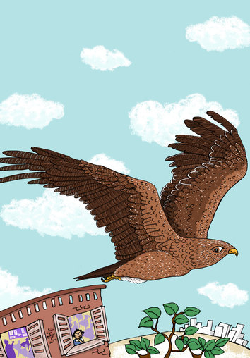 Girl watching an eagle in the sky