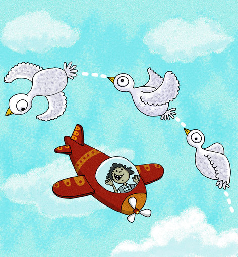 Birds in the sky, Girl in a plane