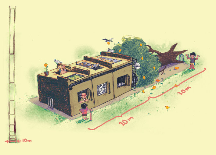 Mango tree, fallen building and cricket pitch