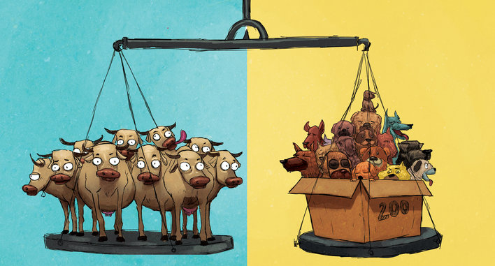 Cows and dogs are being weighed