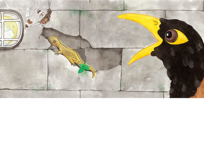 A myna reaches for a juicy gecko