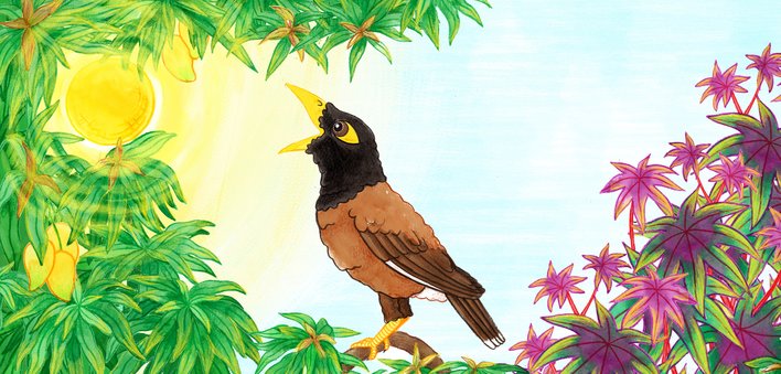 A myna tempted to swallow the sun