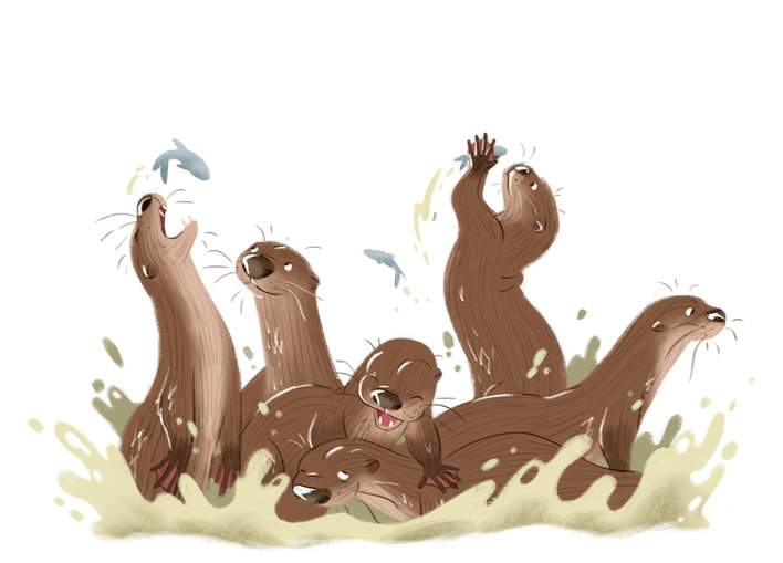 Otters playing