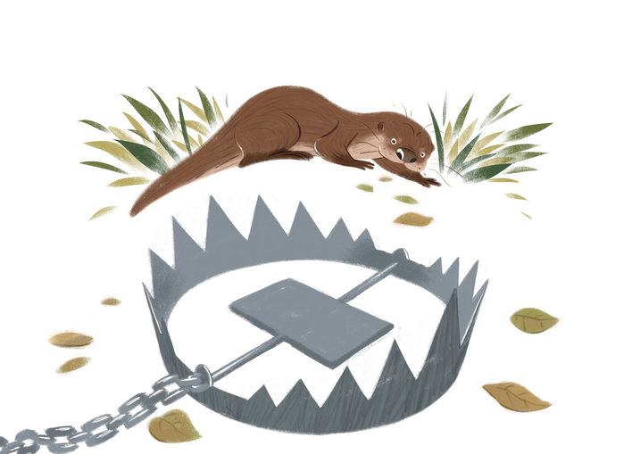An otter trap