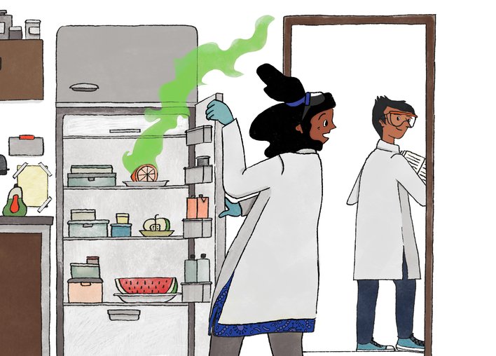 The fridge in the lab