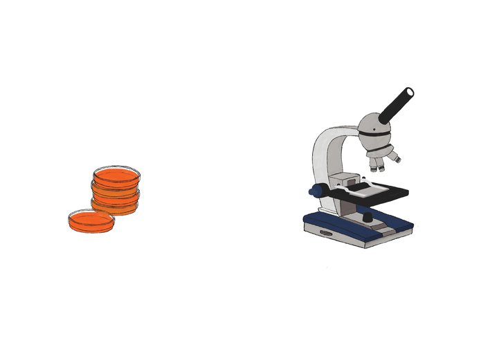 Lab equipment microscope, petri dish