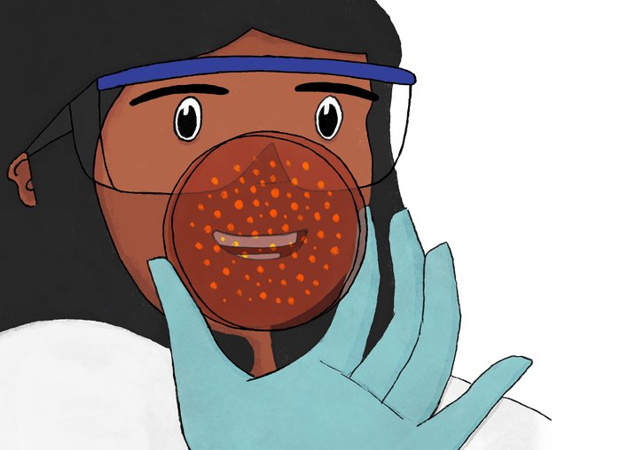 Microbiologist looking at the petri dish