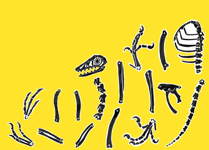 Dinosaur bones