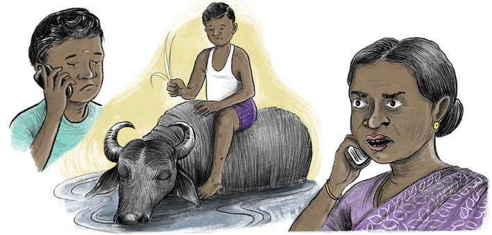 A boy talking to his mother, imagining a buffalo