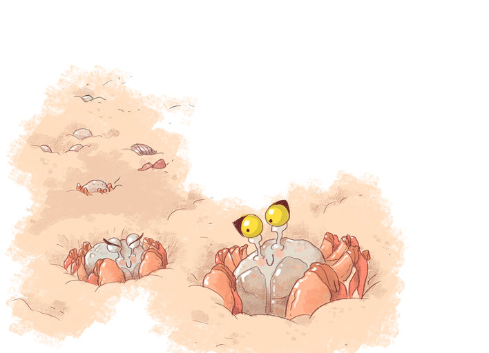 Mother and baby crab