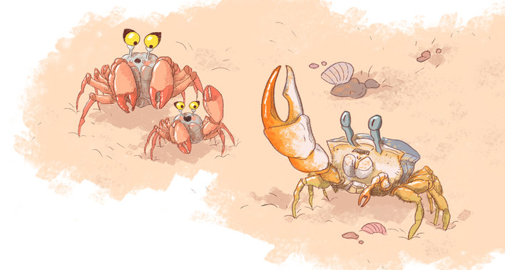 Two soldier crabs watching a fiddler crab