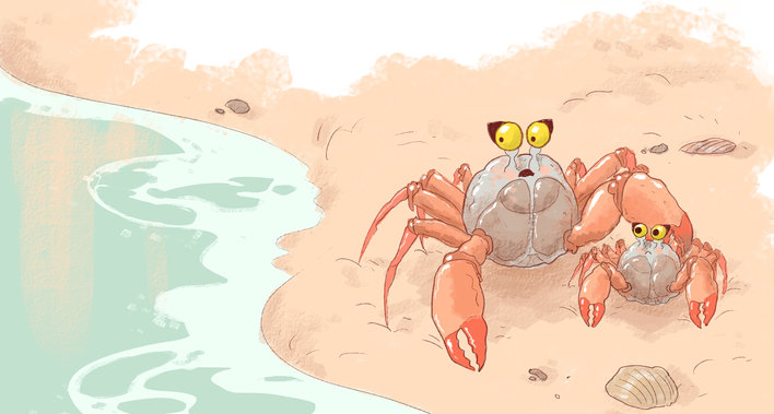 Crabs by the sea