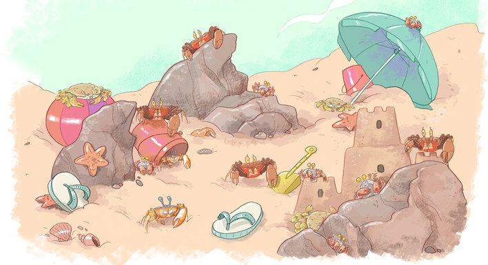 Crabs crawling on the beach