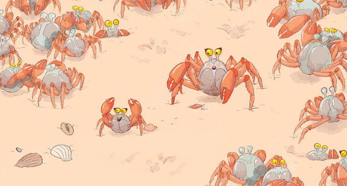 A group of soldier crabs