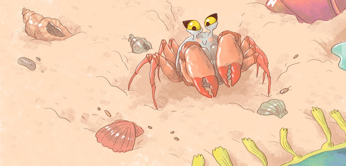 Baby Crab on a Beach