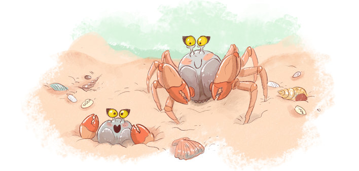 Two soldier crabs out on the beach