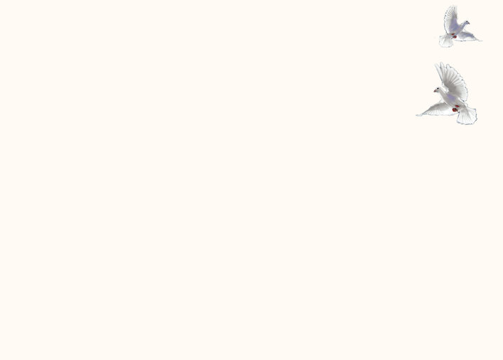 Two birds flying in opposite directions