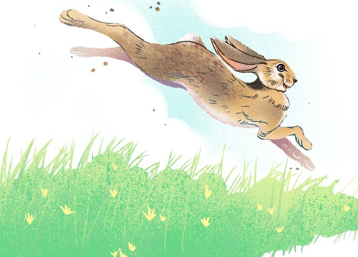 A hare hopping along at top speed