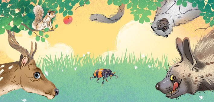 A squirrel langur hyena deer and a beetle
