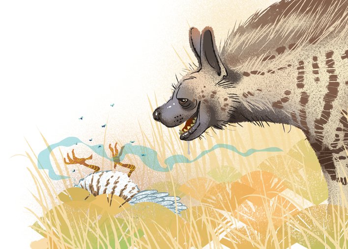 A hyena salivating at the sight of a dead bird