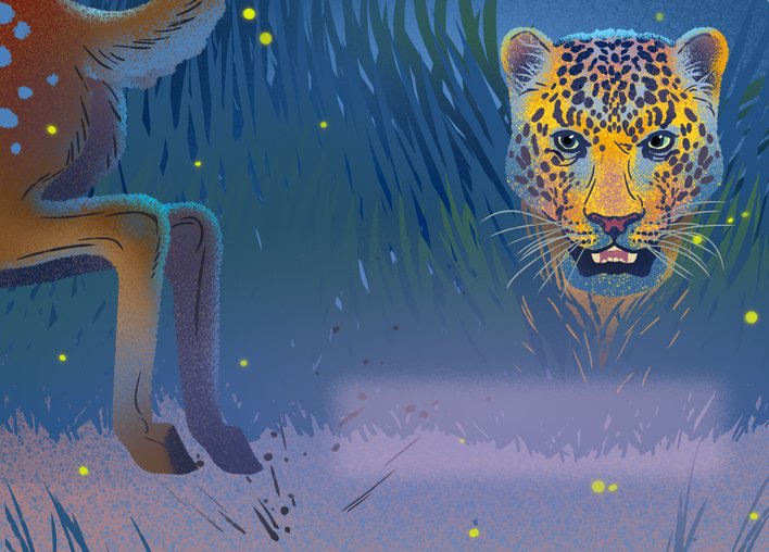 A leopard peeping out of the bushes