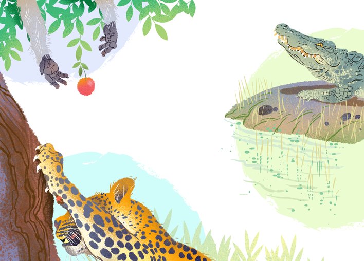 A leopard crocodile and a langur eating in different ways
