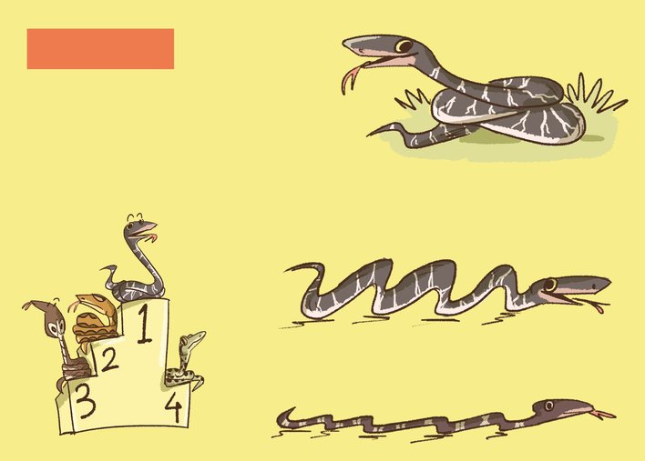 Snakes ranked