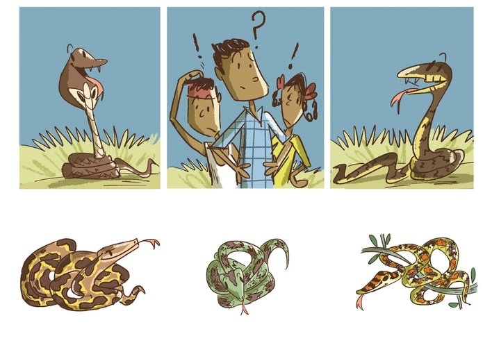 Introduction to different snakes