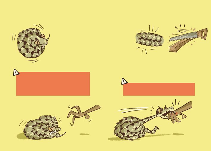 Snake bites into hand