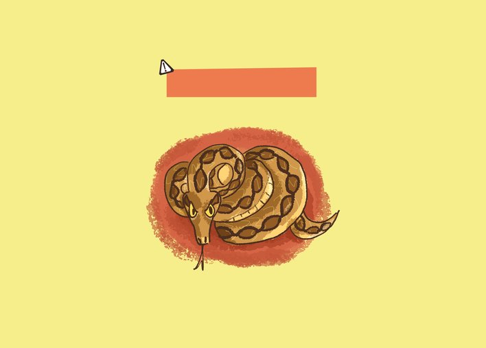An angry Russell's Viper snake