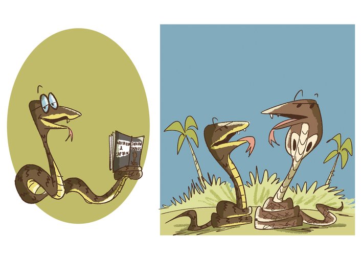 Snakes reading