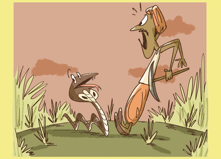Man sees snake in the field