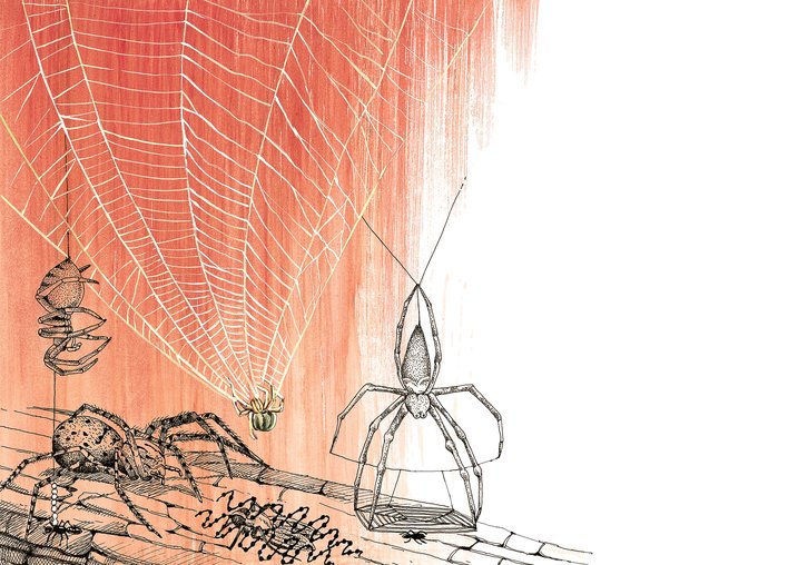 Web spinning