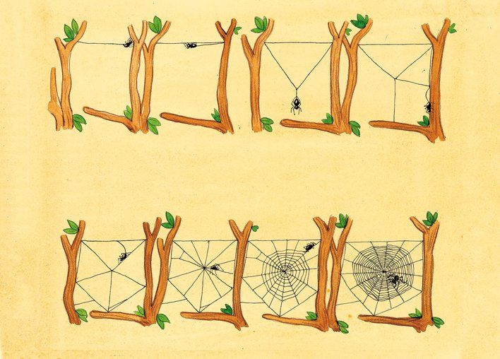 Branches and web