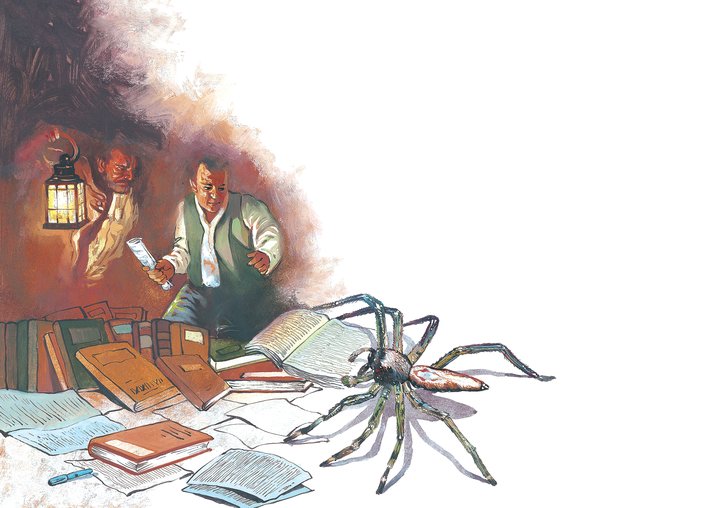 Spider among books